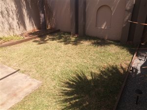 1 Bed Apartment in Hurlyvale