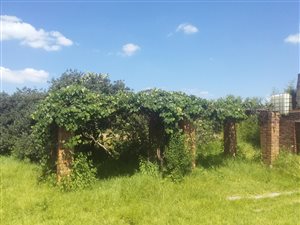 1 ha Farm in Sundra