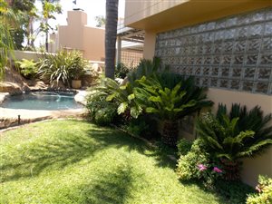 4 Bed Apartment in Brummeria