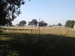 1.6 ha Land available in Vischkuil