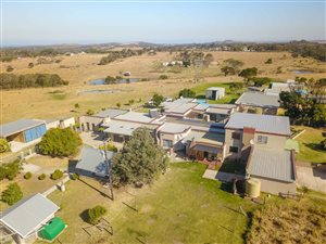 11 ha Farm in East London Central