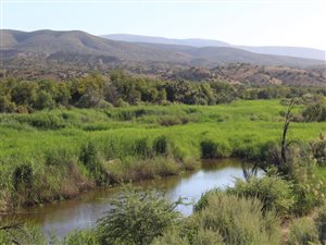 26 ha Farm in Calitzdorp
