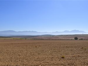 1260 ha Farm in Swellendam