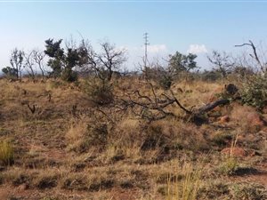 5 m² Land available in Honingnestkrans