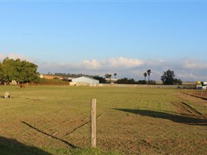 Industrial space in Paarl