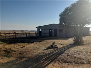 555 ha Farm in Newcastle Central