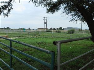 13.6 ha Farm in Kafferskraal AH