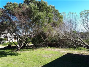 837 m² Land available in Riversbend