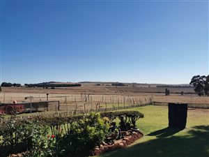 12 ha Farm in Heidelberg Central