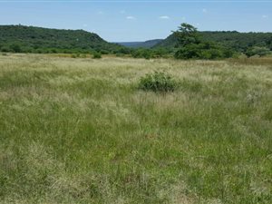 60 ha Farm in Pretoria North