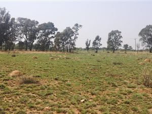 4.1 ha Farm in Walkers Fruit Farms