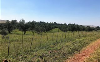 2 m² Land available in Westonaria