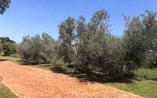 2 m² Land available in Westonaria