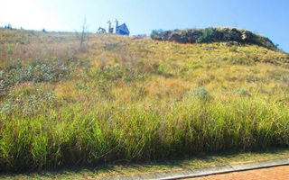 1150 m² Land available in Dullstroom