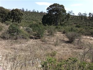 89 ha Land available in King Williams Town