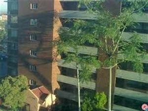 1 Bed Apartment in Berea
