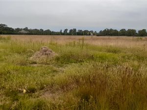 3420 m² Land available in De Deur