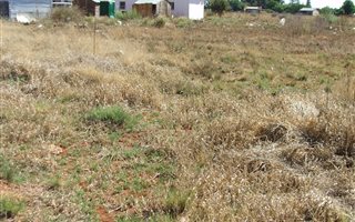1061 m² Land available in Rothdene