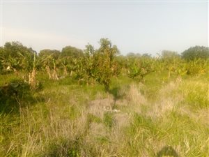 1.5 ha Land available in Esikhawini