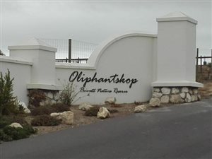 2 ha Land available in Olifantskop