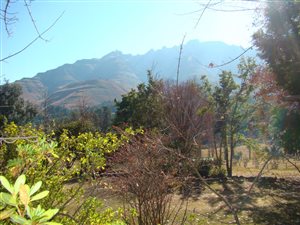 17.2 ha Smallholding in Underberg