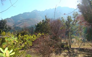 17.2 ha Smallholding in Underberg
