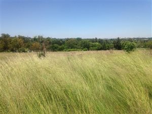 2.6 ha Farm in President Park