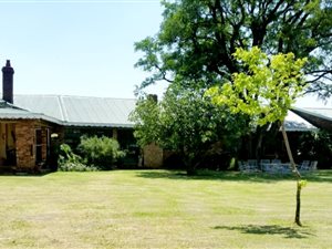1.3 ha Farm in Rand Collieries
