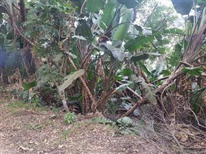 1221 m² Land available in Trafalgar