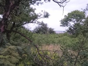 2.5 ha Farm in Raslouw