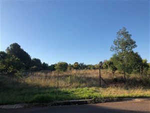 1 ha Land available in Rietvalleirand
