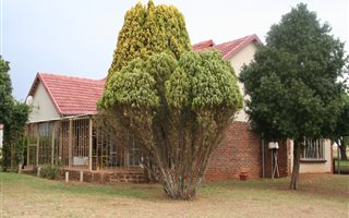 92.3 ha Farm in Middelburg