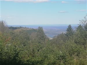 3.3 ha Land available in Hogsback