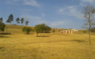 27.5 ha Farm in Cato Ridge