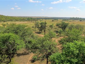 21 ha Farm in Dinokeng