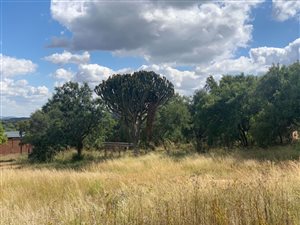 46 ha Farm in Haenertsburg