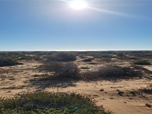 2 m² Farm in Elands Bay