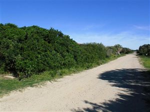 827 m² Land available in Cannon Rocks