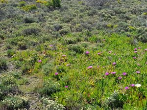 298 m² Land available in Moquini Coastal Estate
