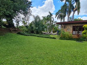 21 ha Farm in Tzaneen
