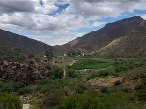 170 ha Farm in Montagu