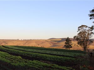 28.5 ha Farm in Pietermaritzburg Central