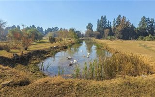 4.4 ha Farm in Albert Falls