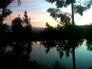 300 ha Farm in Franschhoek