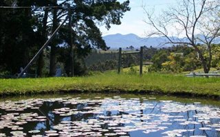 27 ha Farm in Harkerville