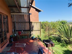 12.7 ha Farm in Currys Post