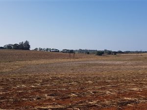 2.6 ha Farm in Ballito