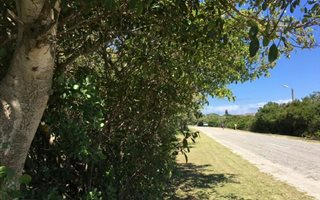 1145 m² Land available in Boknesstrand