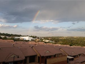1 Bed Apartment in Olivedale