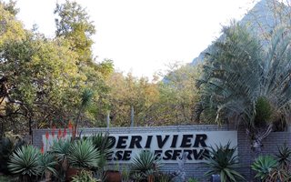 1.2 ha Land available in Blyde River Botanical Reserve